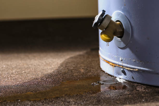 Best Professional water damage repair  in Sumner, IL