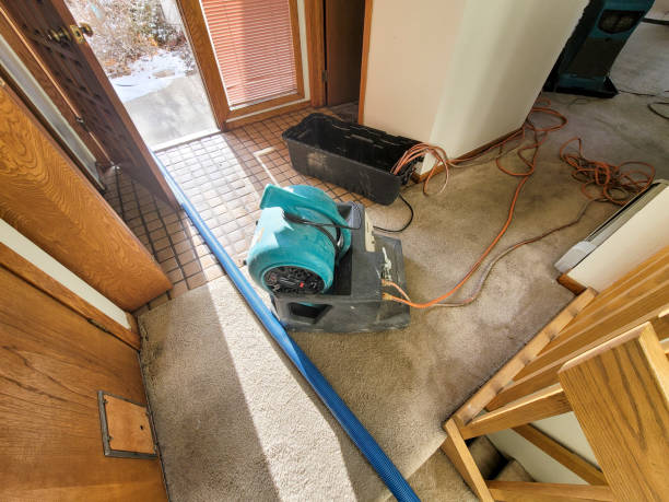 Fire Damage Restoration in Sumner, IL