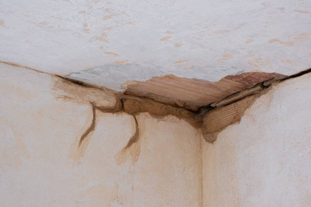 Best Water damage cleanup near me  in Sumner, IL