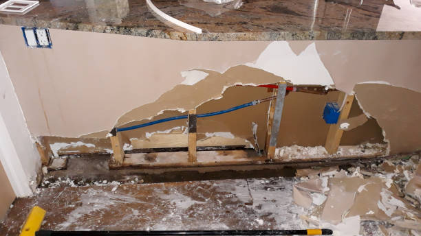 Best Flood damage cleanup  in Sumner, IL