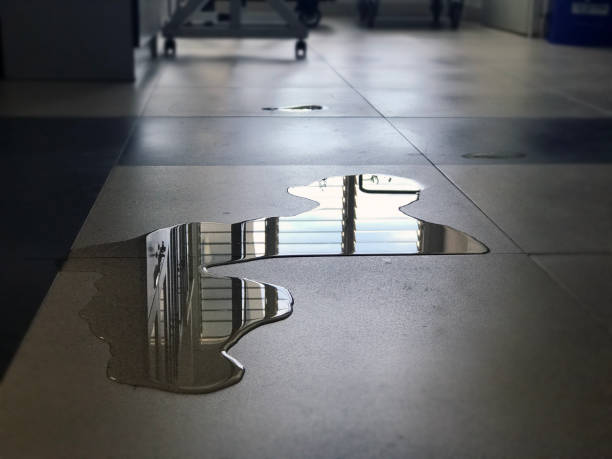 Best Water damage restoration company  in Sumner, IL