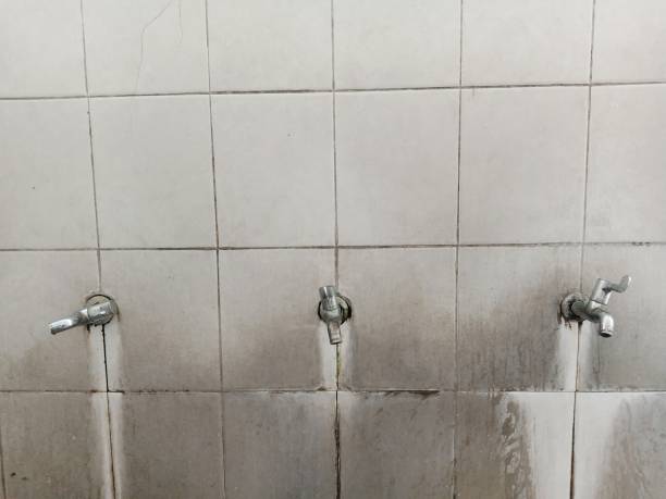 Best Ceiling water damage repair  in Sumner, IL