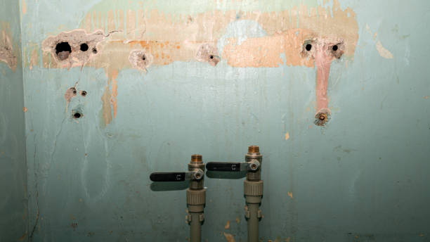 Best Water damage restoration near me  in Sumner, IL