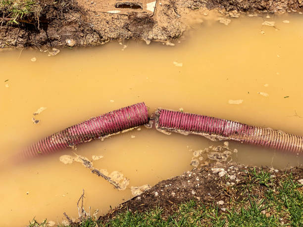 Best 24-hour water damage restoration  in Sumner, IL
